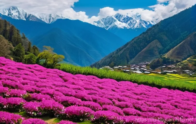 부탄의 사계절 풍경 - **Vibrant Spring Bloom in Bhutan:**
An enchanting, panoramic view of a Bhutanese valley in sprin...