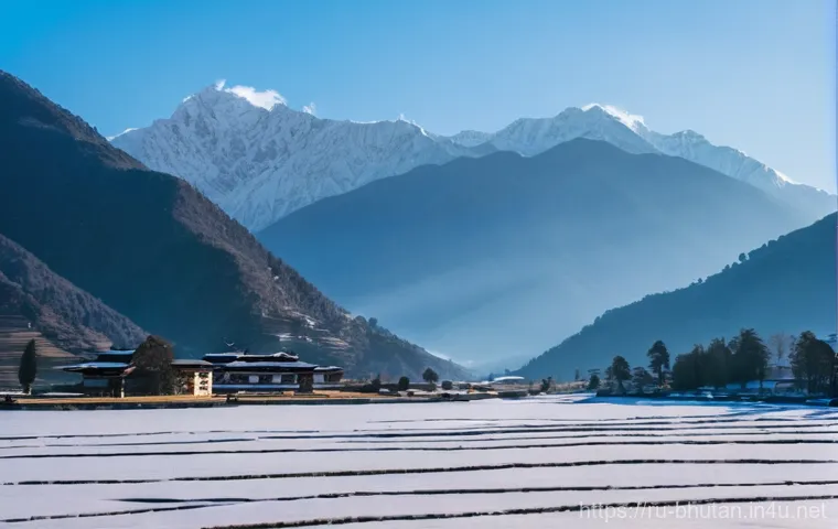 부탄의 사계절 풍경 - **Golden Autumn Trekking and Cultural Richness in Bhutan:**
    A breathtaking scene showcasing the ...