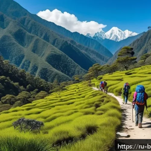 Home 17 부탄 생태 관광 - A serene Bhutanese mountain trail winding through lush green forests under a clear blue sky, with a ...
