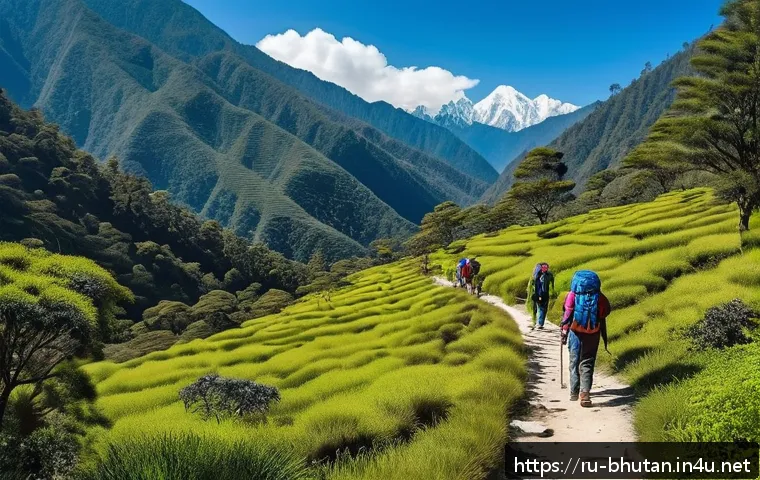 부탄 생태 관광 - A serene Bhutanese mountain trail winding through lush green forests under a clear blue sky, with a ...